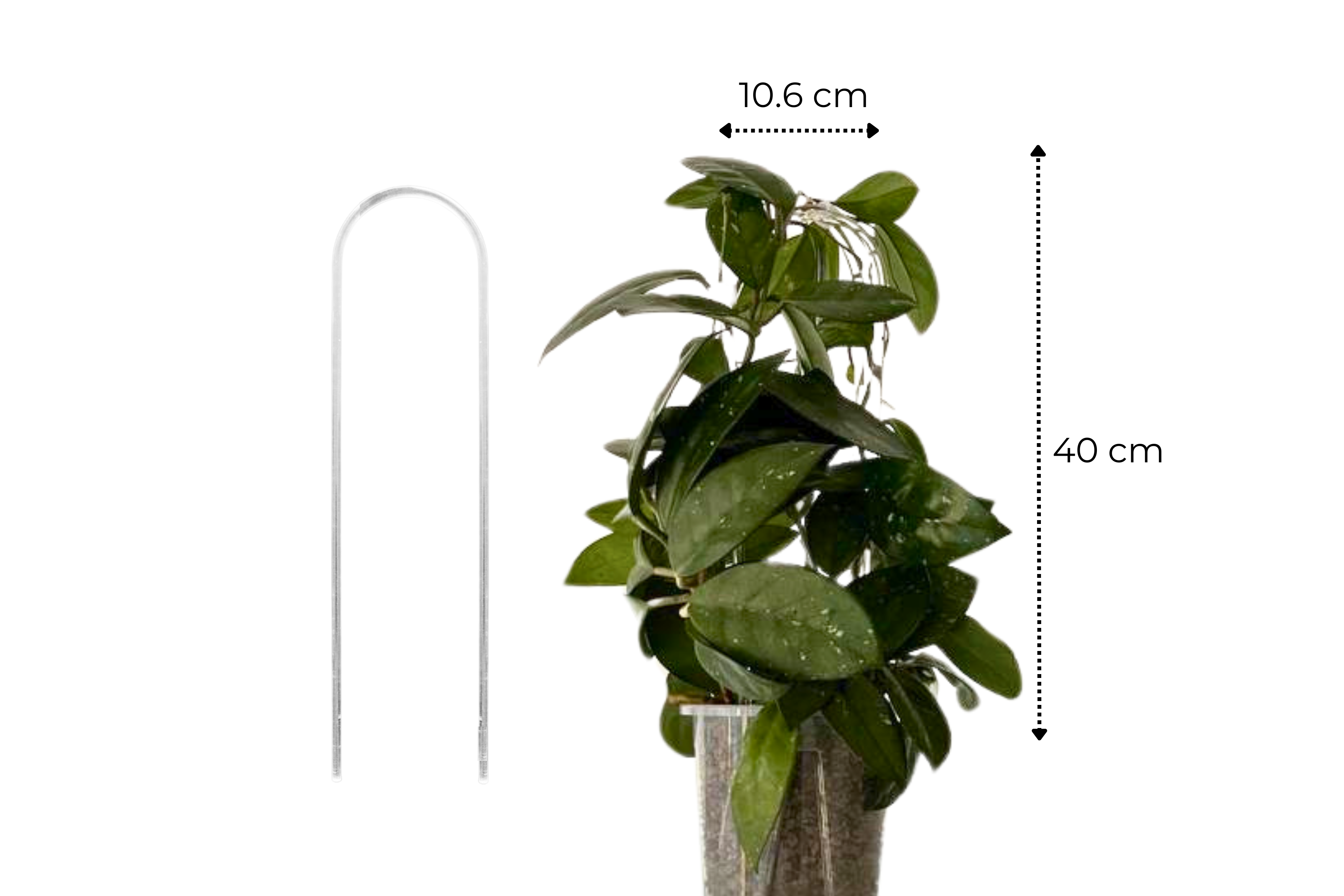 Clear Arch Trellis / U-Shaped Plant Support