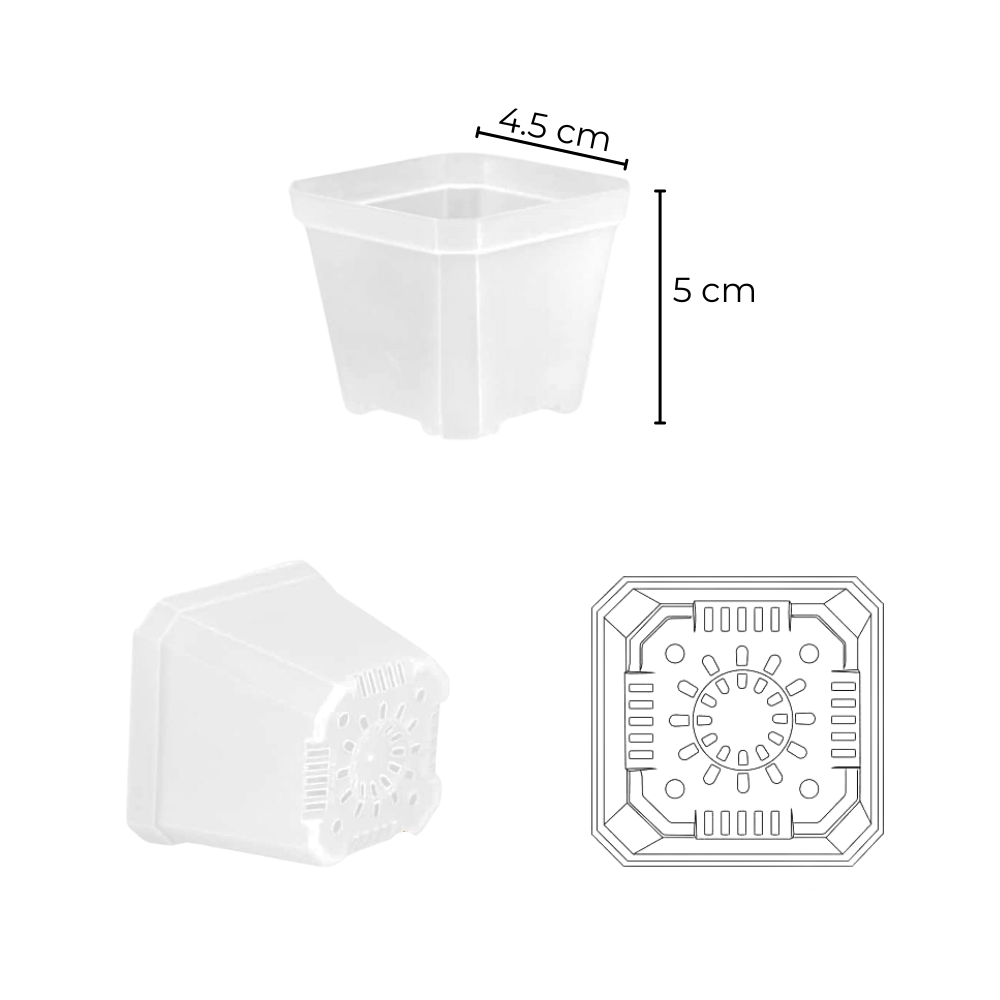 Transparent Seed Starter Tray / Propagation Box [XL]