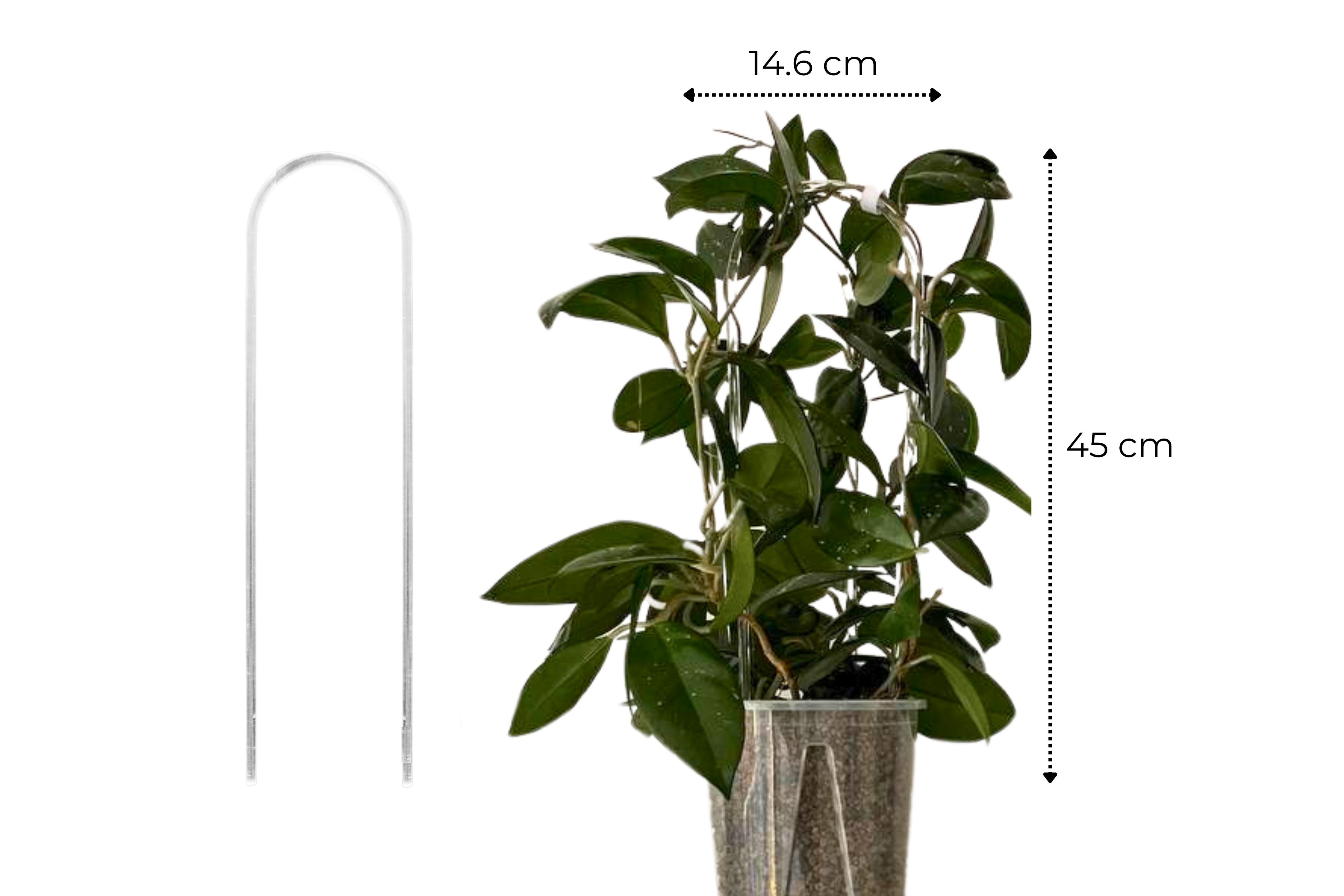 Clear Arch Trellis / U-Shaped Plant Support