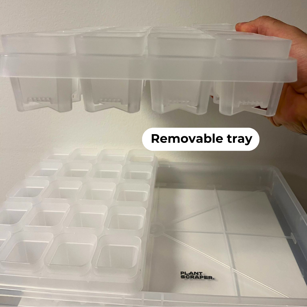Transparent Seed Starter Tray / Propagation Box [XL]