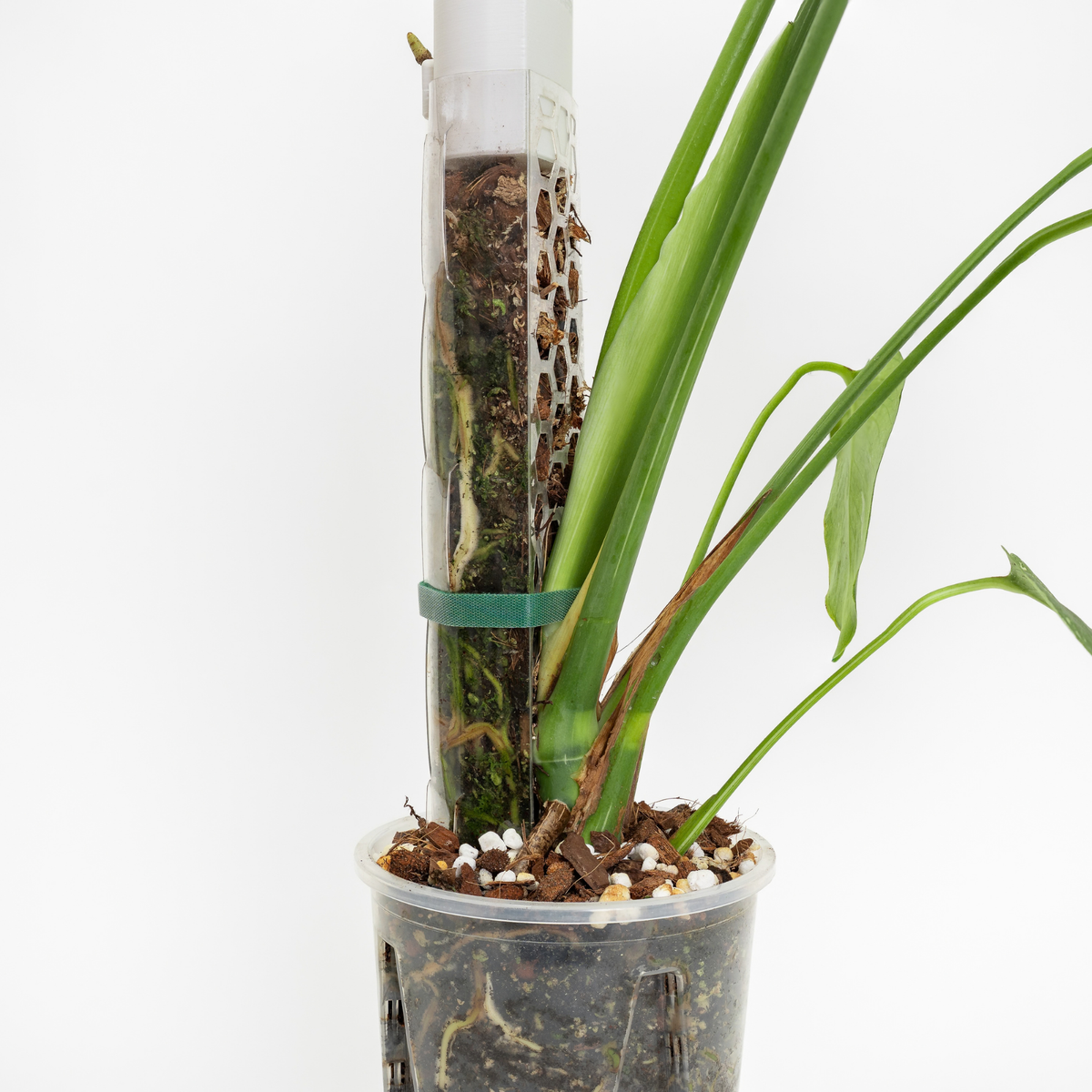 Moss pole filling mix 8.5 L
