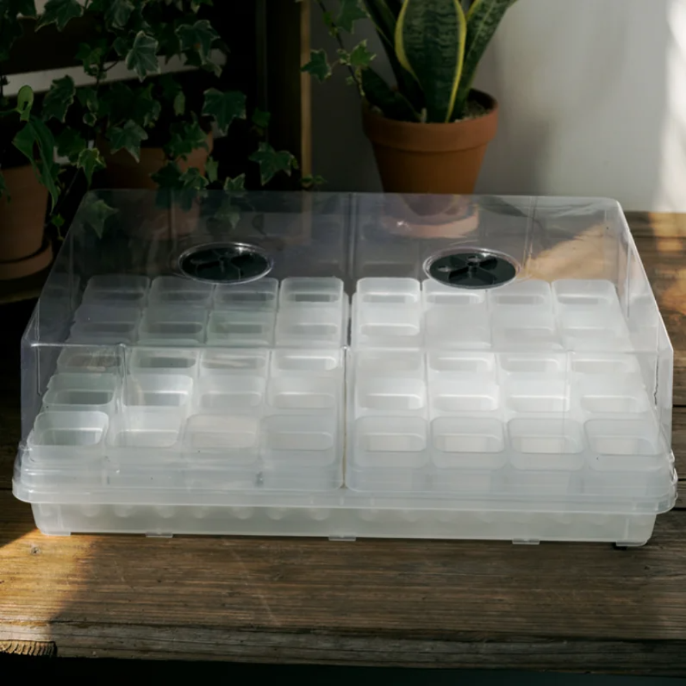 Transparent Seed Starter Tray / Propagation Box [XL]