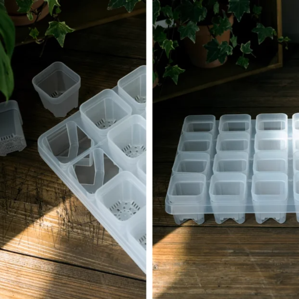 Transparent Seed Starter Tray / Propagation Box [XL]