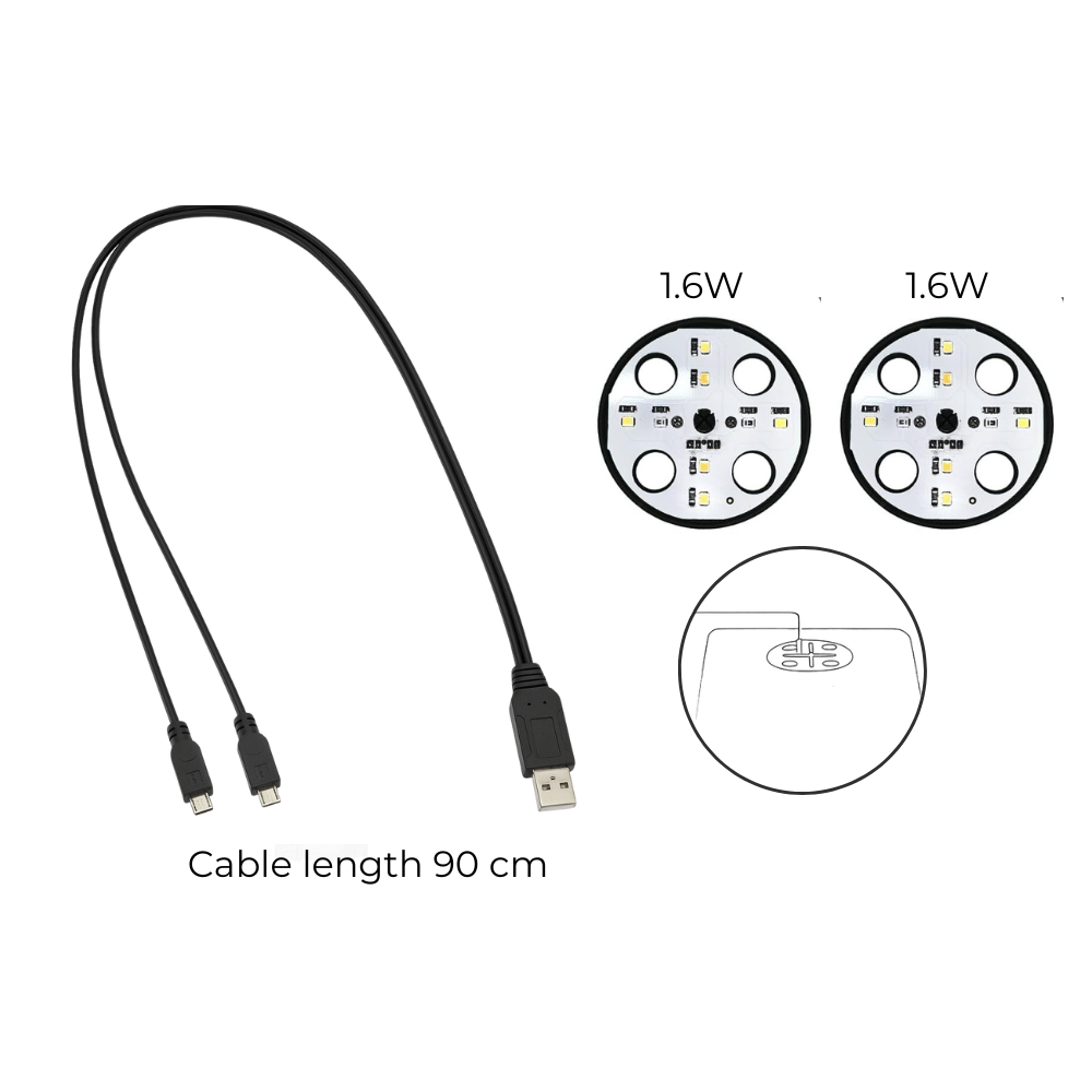 Transparent Seed Starter Tray / Propagation Box [XL]