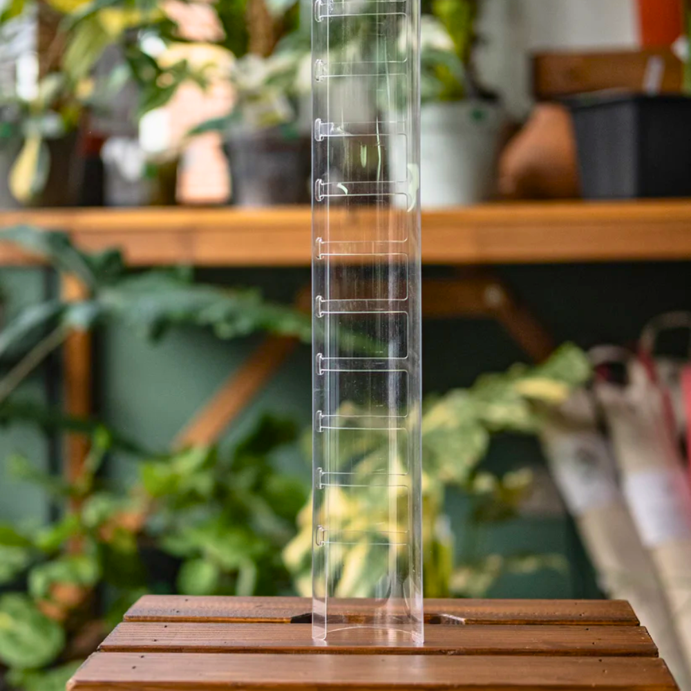 clear moss pole Front Opening D-Shaped Moss Pole – Easy Access Support for Climbing Plants