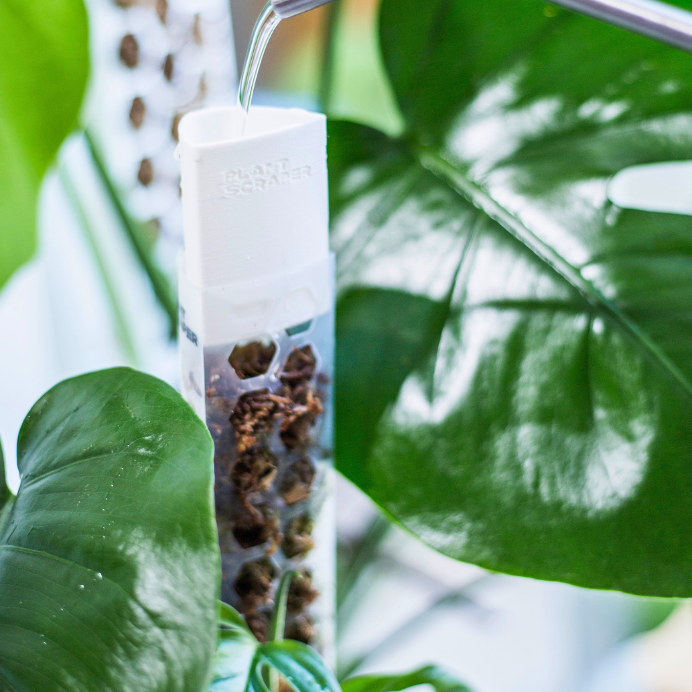 Moss Poles [Classic]