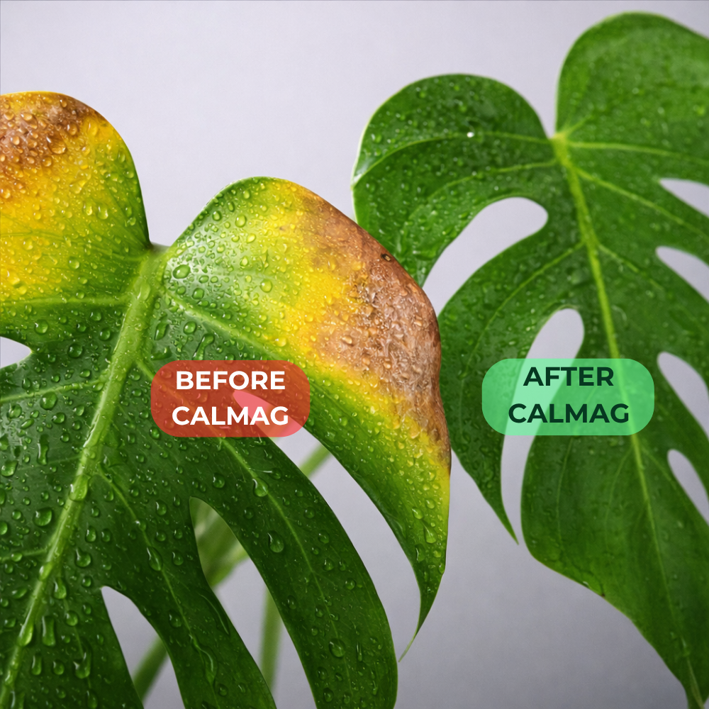 CalMag calcium and magnesium supplement 1 kg