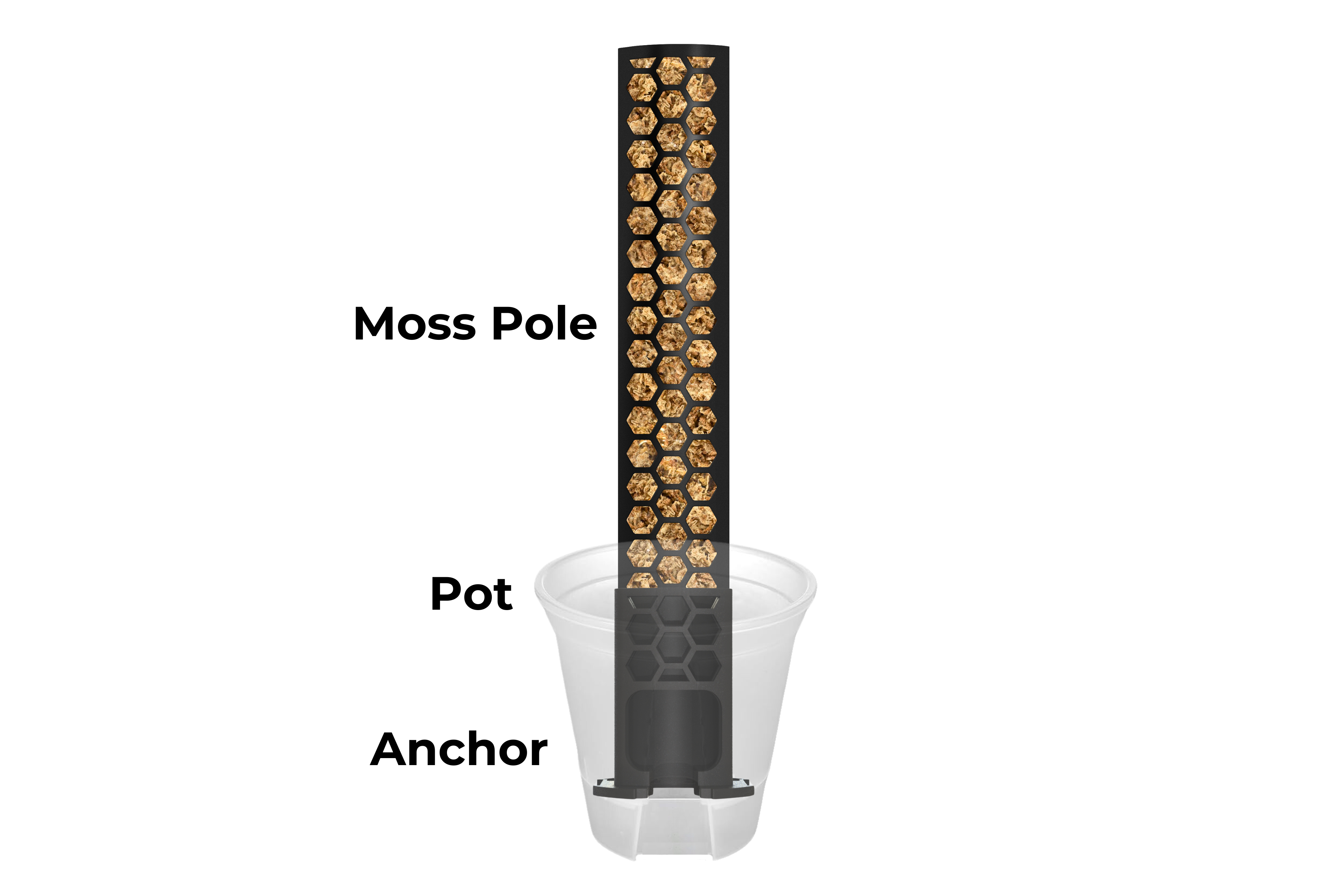 Self-Watering Anchor Set / Anchor, Pot & Pole [Classic Line]