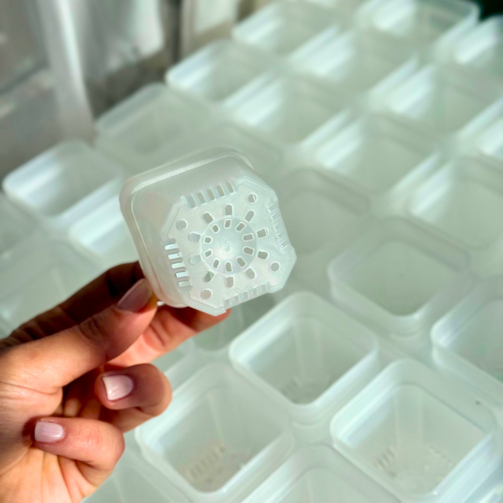 Transparent Seed Starter Tray / Propagation Box [XL]