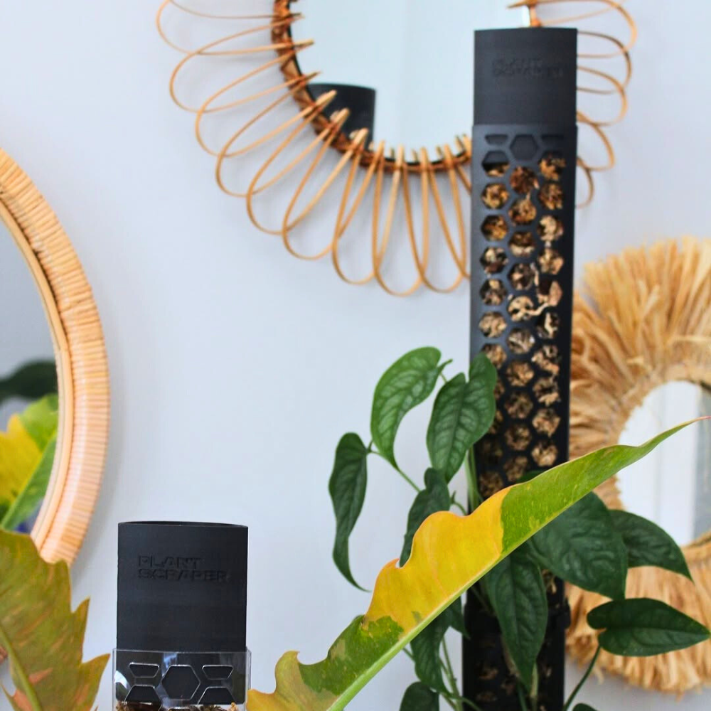 Moss Pole Rapid Dripper [Classic]