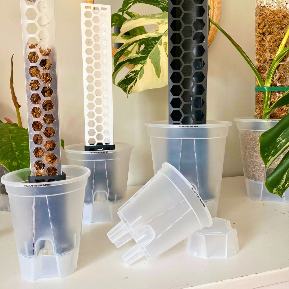 Anchor Set for Moss Poles with Self-Watering System [Classic]