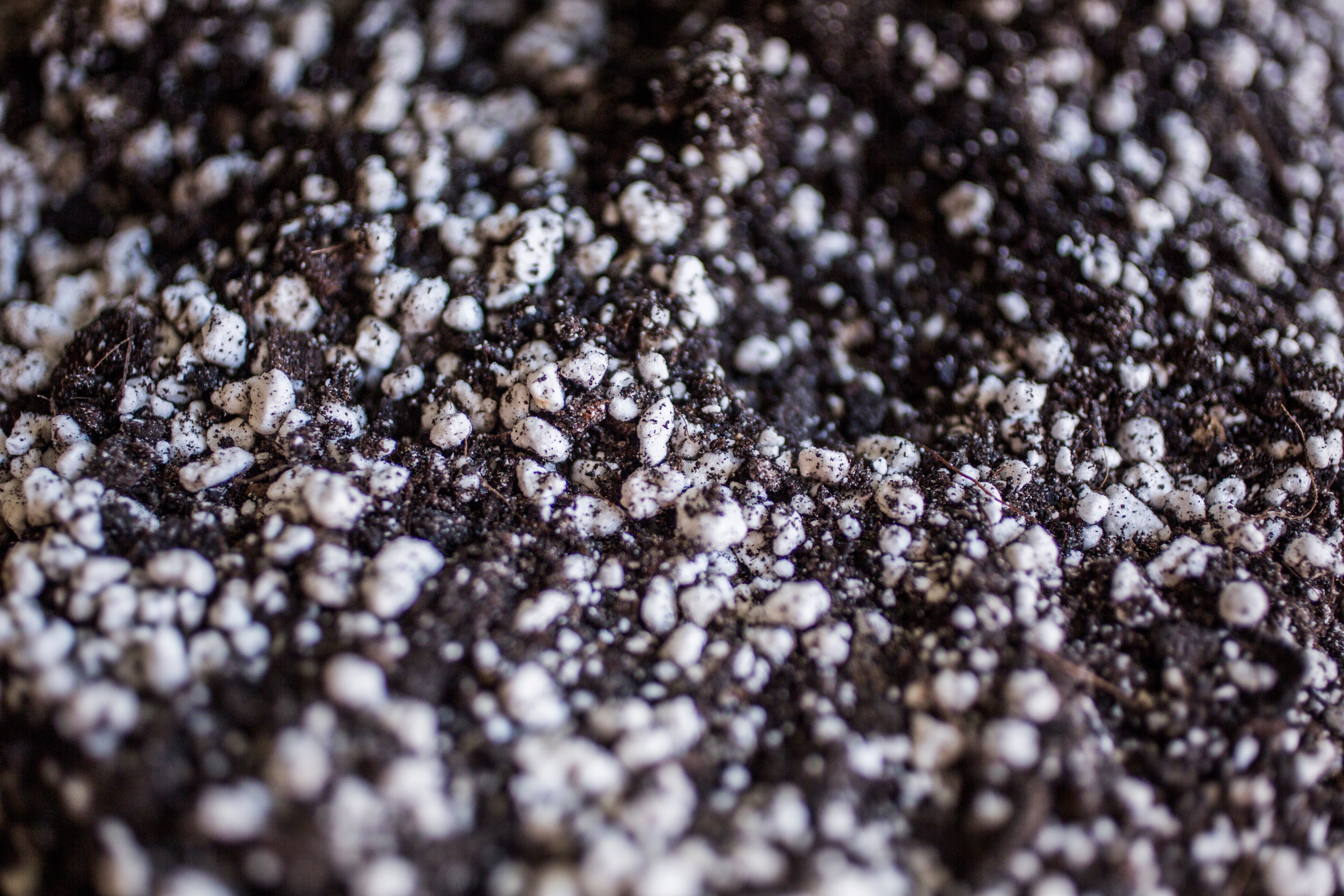 Fine Seeding Mix 8.5L