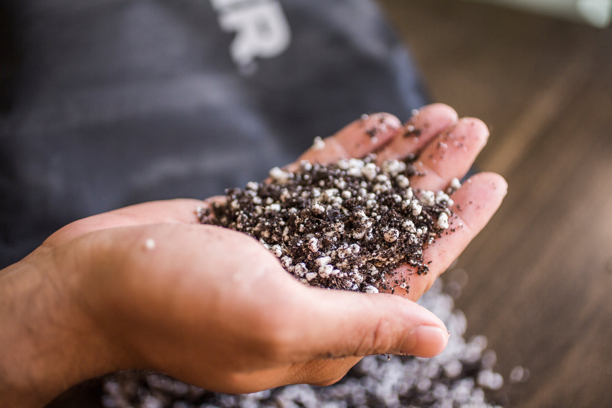 Fine Seeding Mix 8.5L