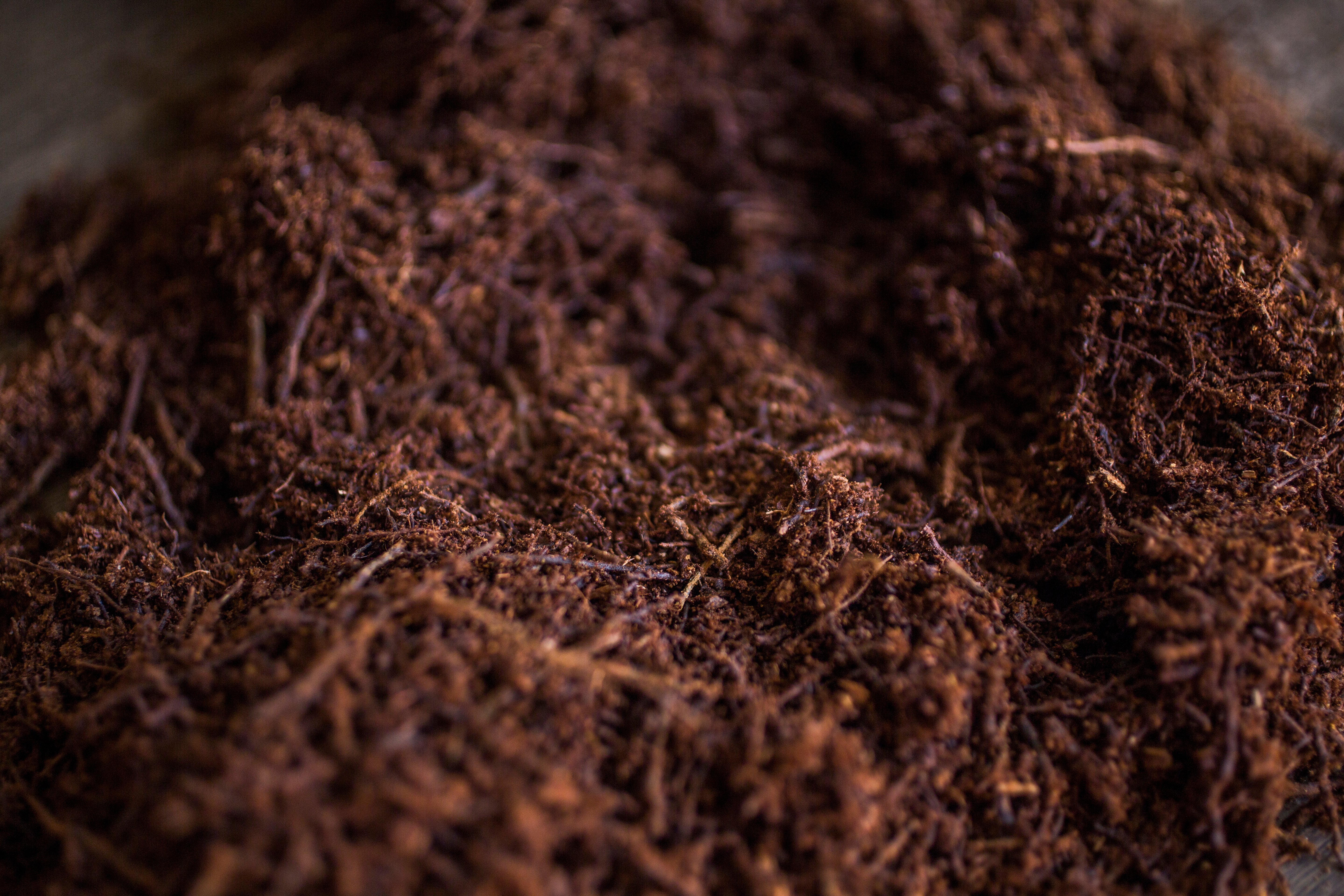 Tree Fern Fiber 40L - bulk fromat