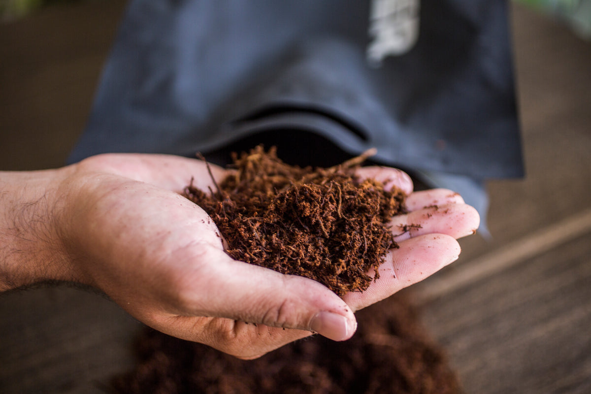 Tree Fern Fiber 8.5L