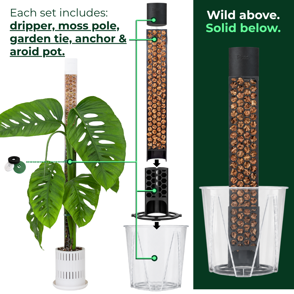 Classic moss pole anchor kit with aroid pot, D-shaped pole and watering dripper