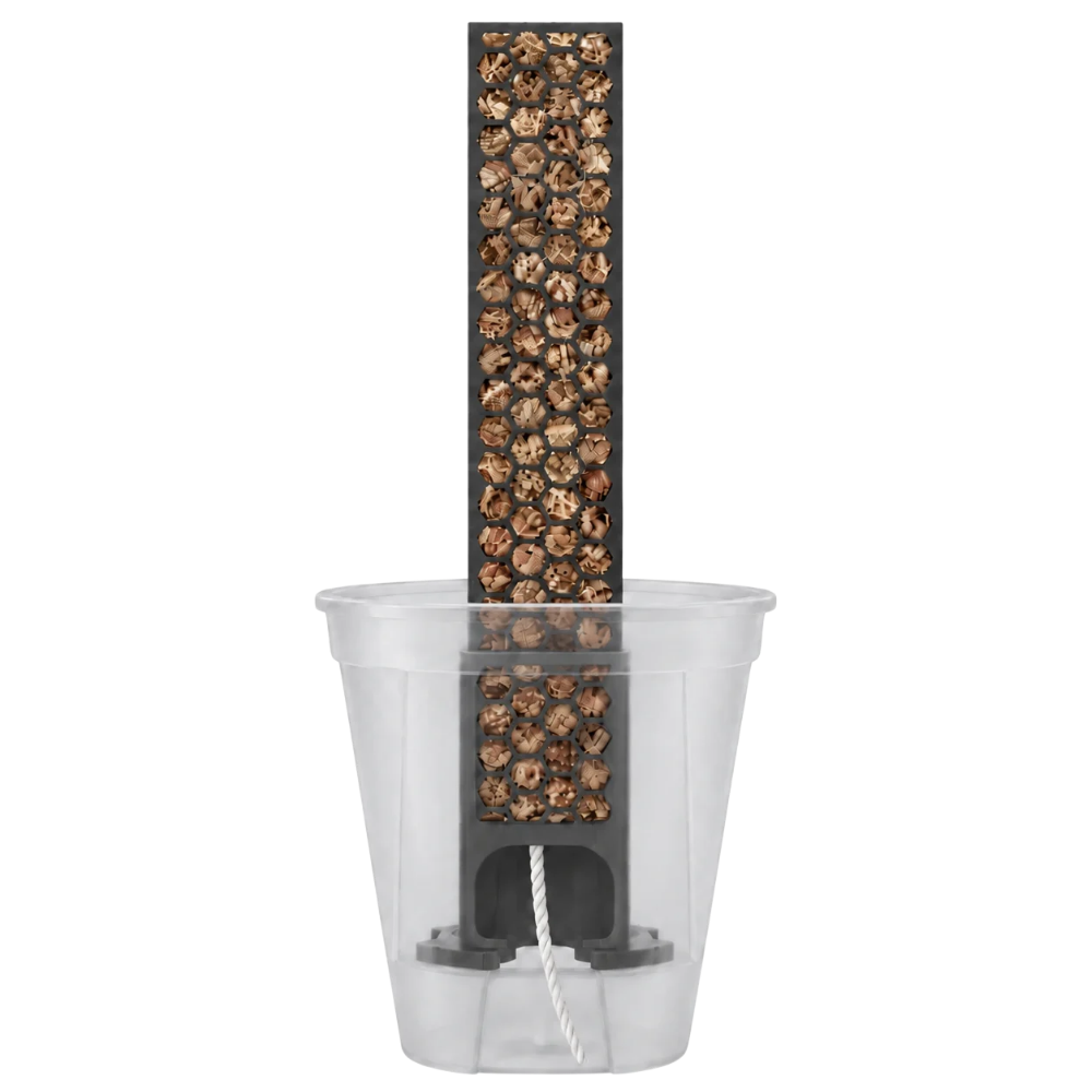 Self-watering anchor set for classic moss poles