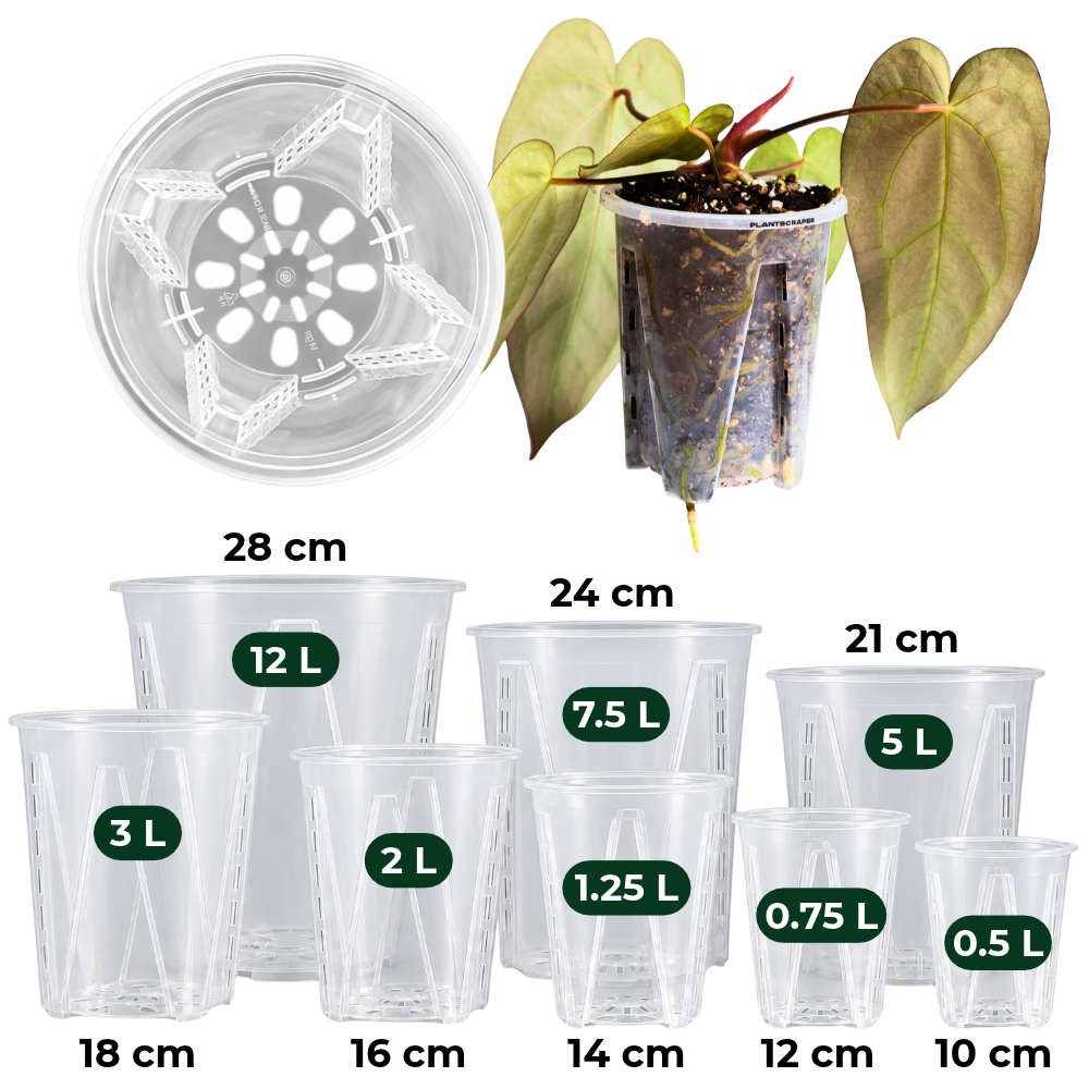 Set de anclaje para tutores de musgo clásicos
