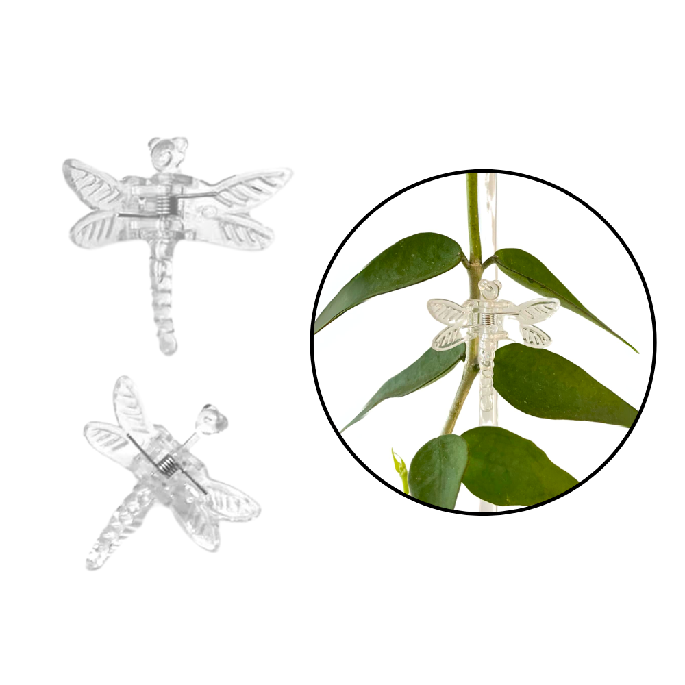 Dragonfly Plant Clips