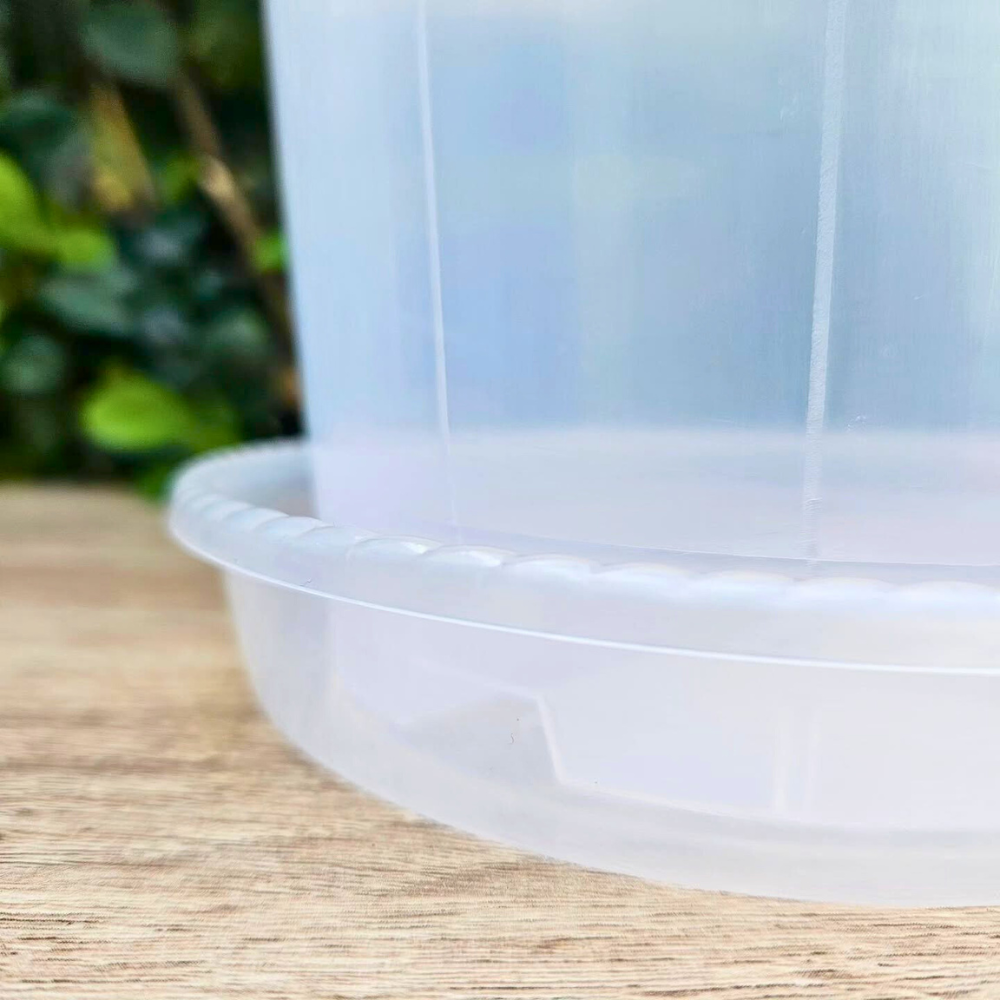 Crystal Clear Pot Saucers