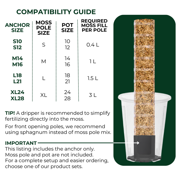 Moss Pole Anchor – Enhance Stability for Climbing Plants | PlantScraper®