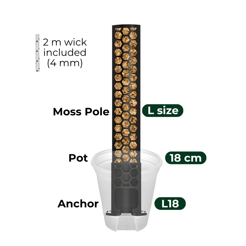 Anchor Set for Moss Poles with Self-Watering System [Classic]