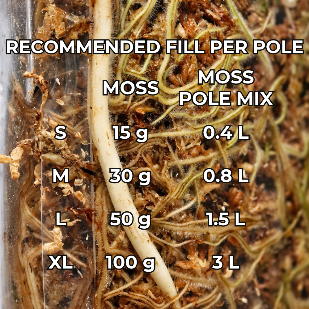 Classic moss poles