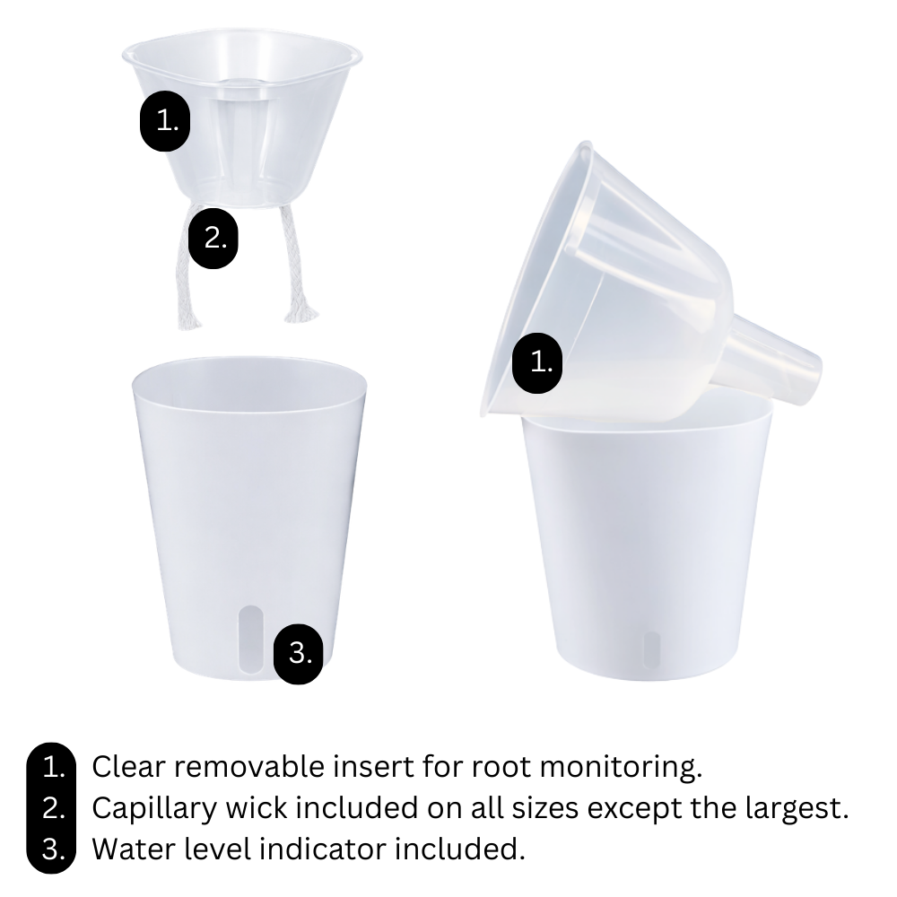 Self-watering Pots with Clear Inserts