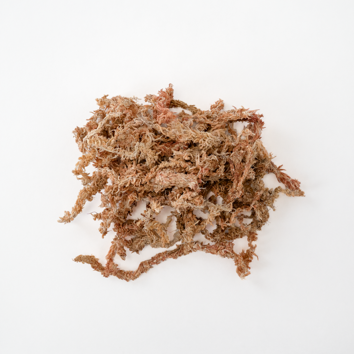 Musgo sphagnum, fibra larga de primera calidad, 300 g