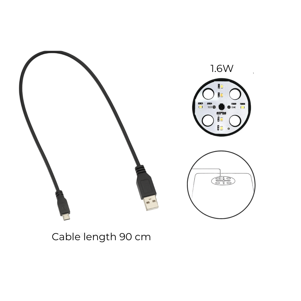 Seed Starter Tray / Propagation Box [S]
