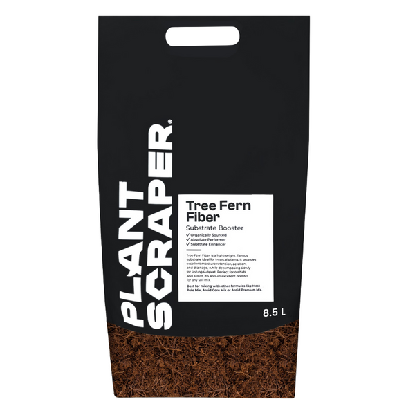 Premium Tree Fern Fiber – Sustainable Substrate for Orchids and Aroids