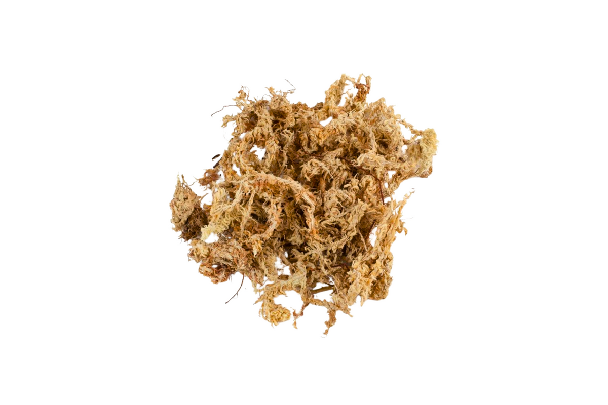 Sphagnum Moss 300g