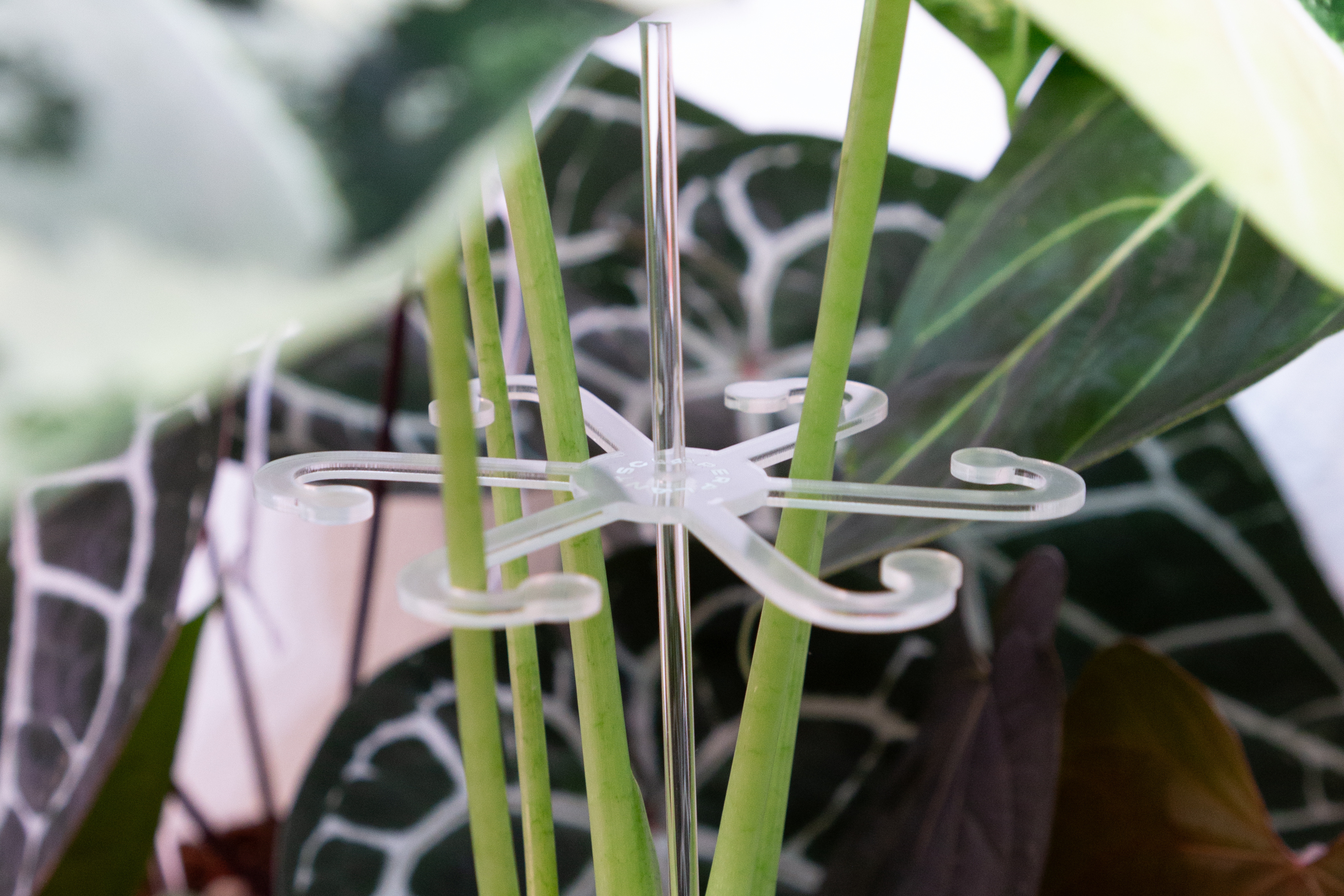 Stem Support Leaf Hooks