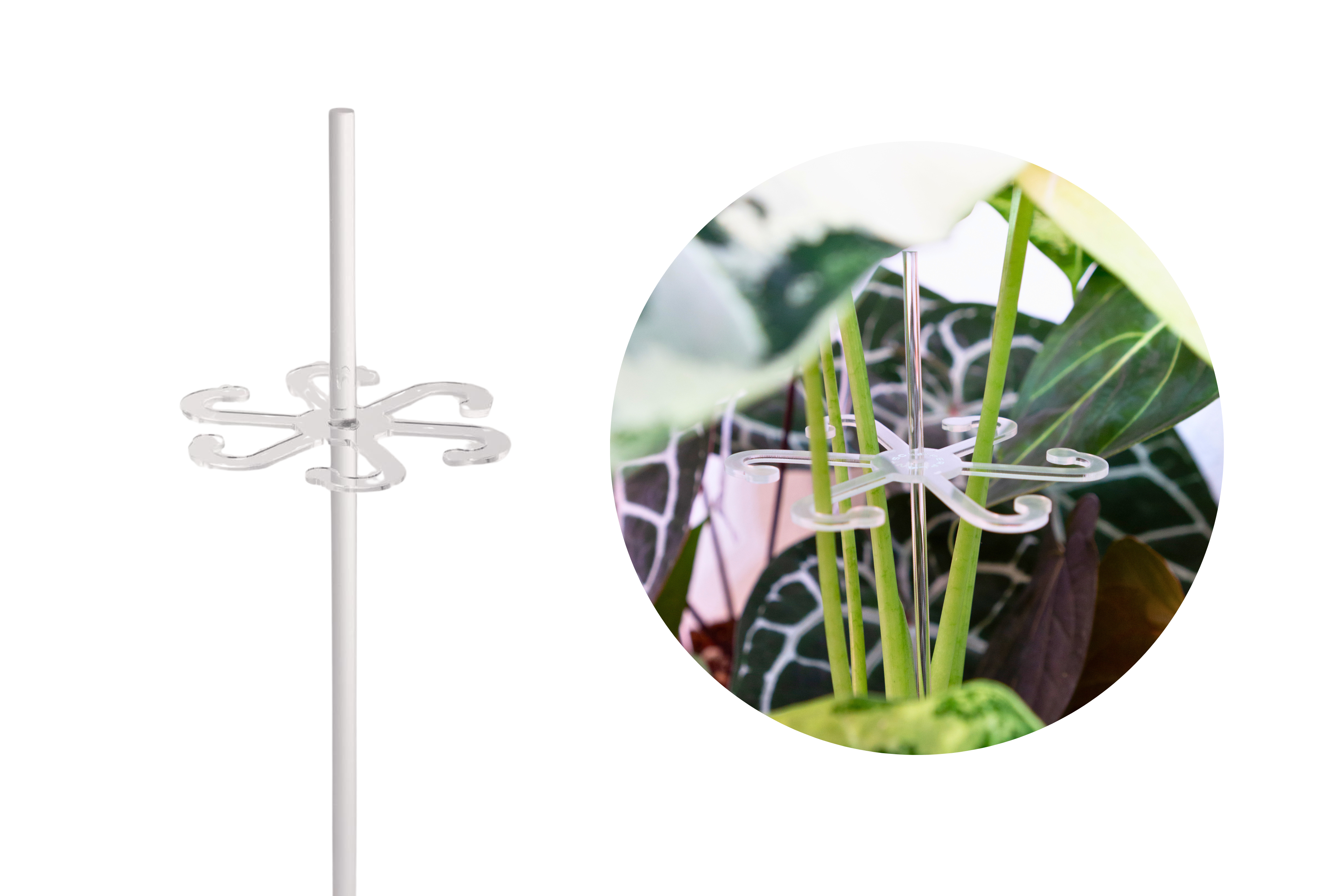 Stem Support Leaf Hooks