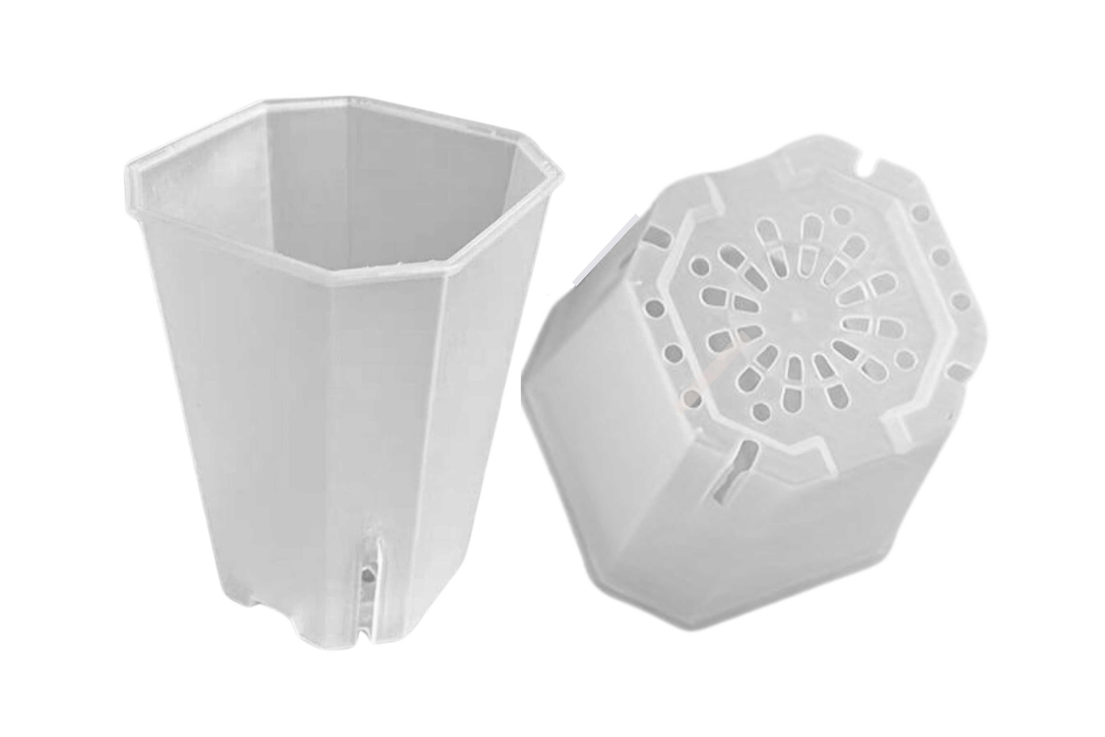 Squared Aroid Tower Pots - Clear Matte