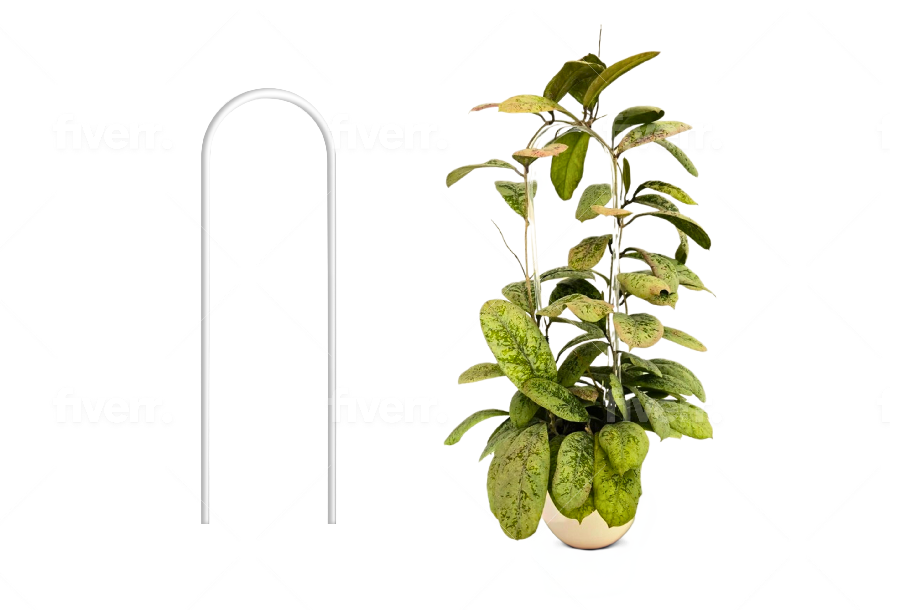 Clear Arch Trellis / U-Shaped Plant Support