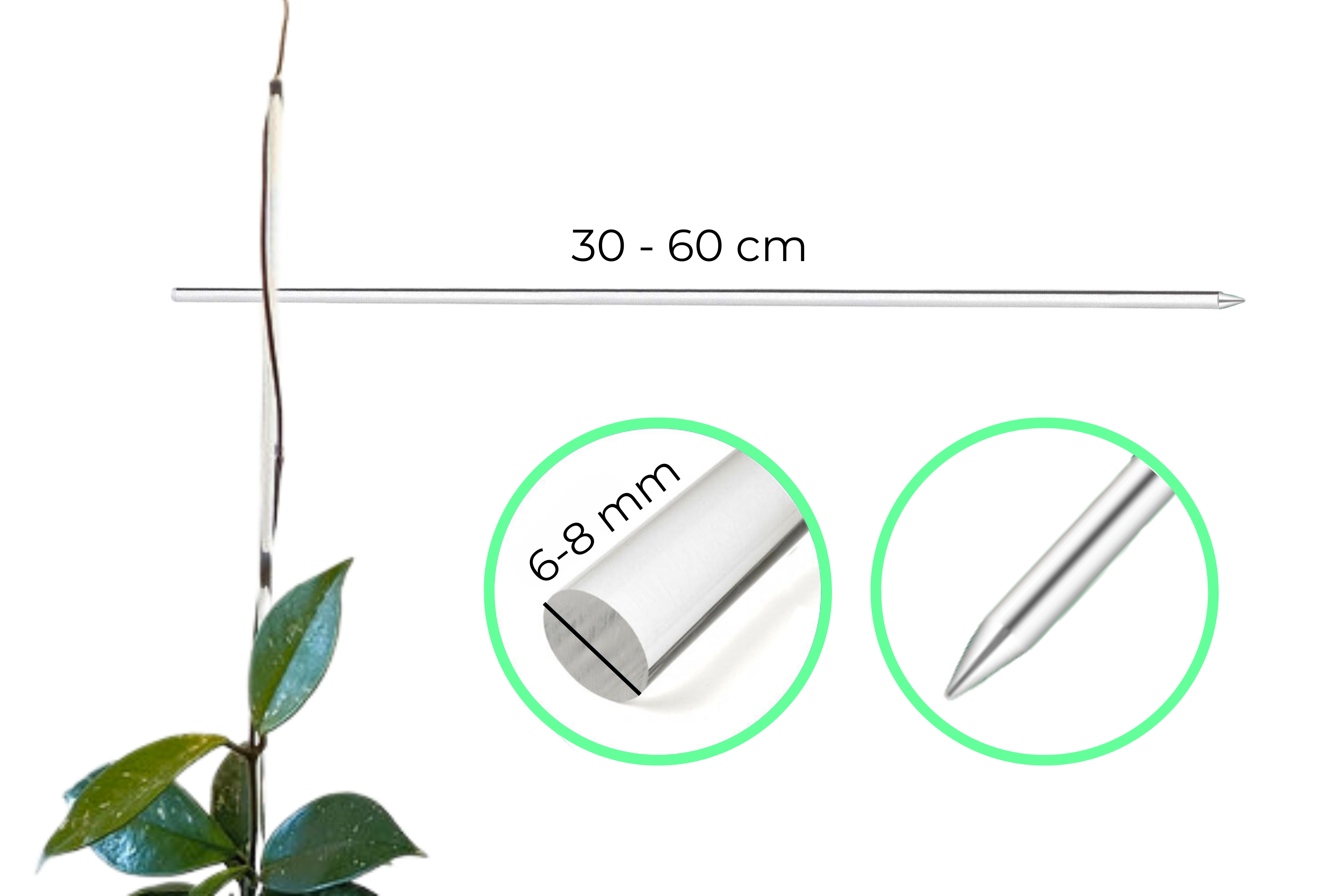 Clear Plant Stake / Support Stick