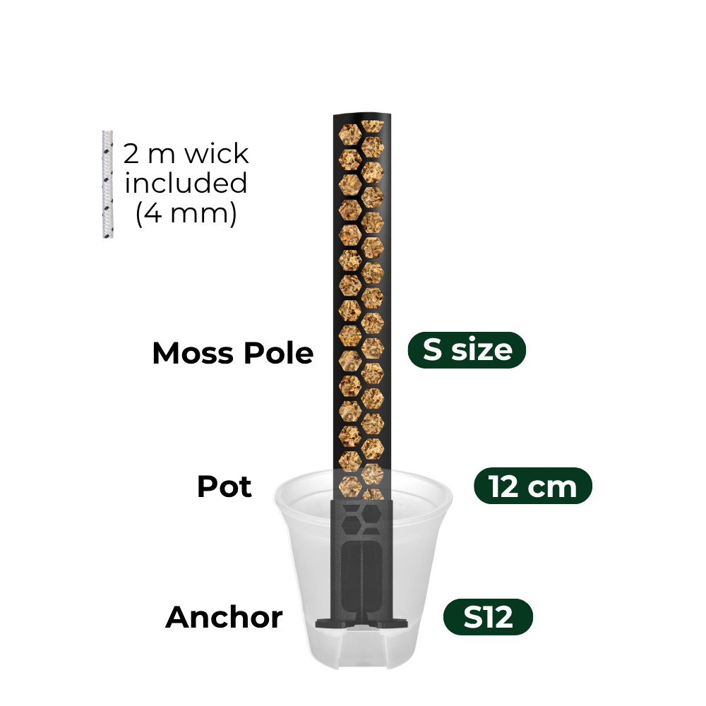 Anchor Set for Moss Poles with Self-Watering System [Classic]