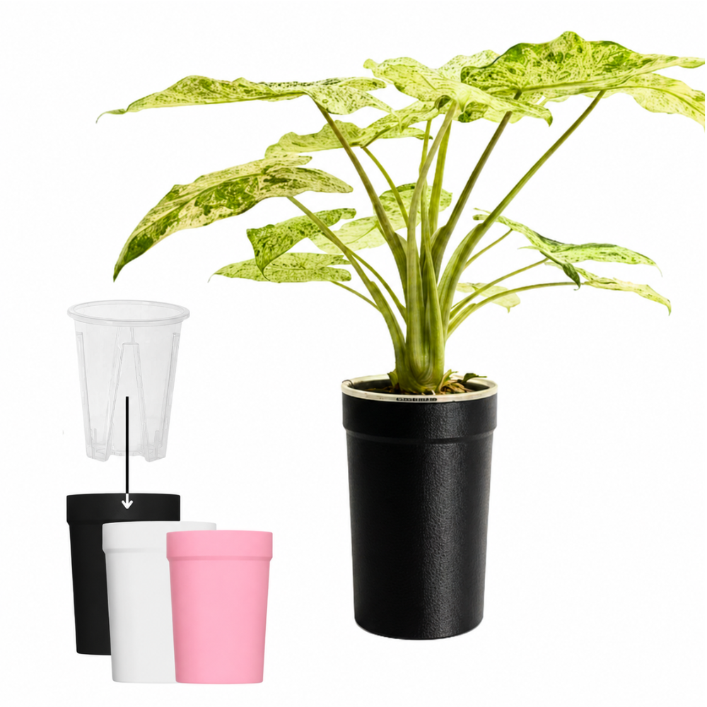 Sealed Covers for Aroid Pots [Self-Watering System]