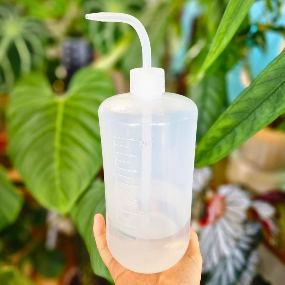 plastic bottles for watering plants Squizy Watering Bottle – Precise Squeeze Bottle for Indoor Plant Care