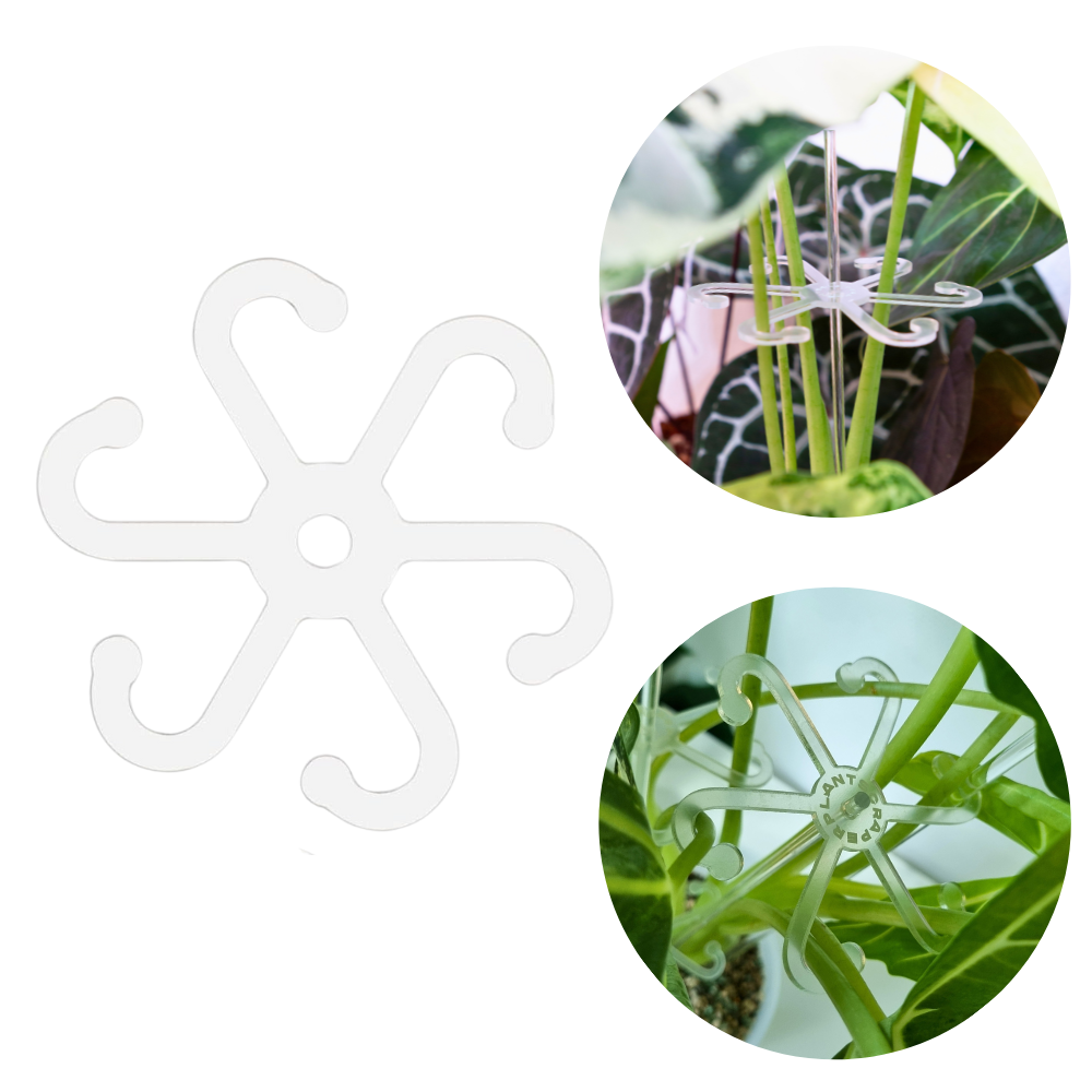Stem Support Hooks for Leaves