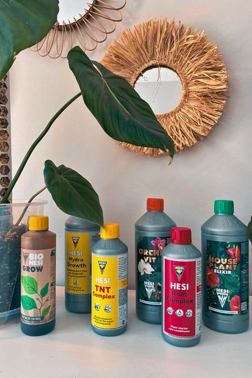 PlantScraper.com - Indoor Plant Supplies ┃Europe